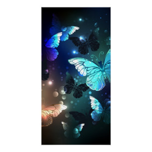 Fluttering Night Butterfly Poster