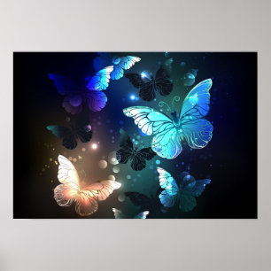Fluttering Night Butterfly Poster