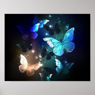 Fluttering Night Butterfly Poster