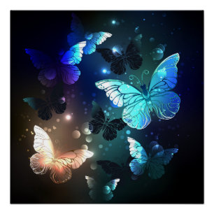 Fluttering Night Butterfly Poster