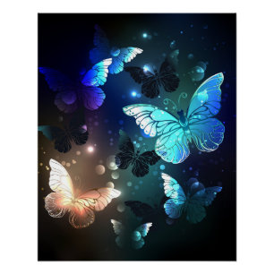 Fluttering Night Butterfly Poster