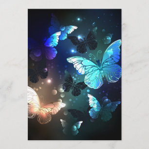 Fluttering Night Butterfly Programme