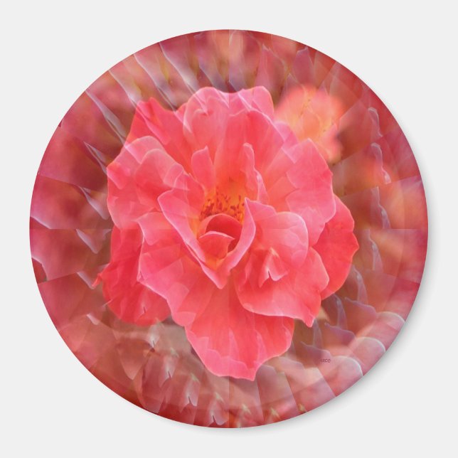 Fluttering Petals....... Magnet (Front)