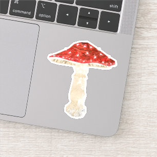 Fly agaric