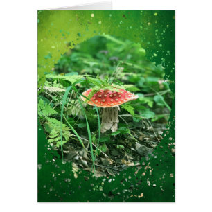 Fly Agaric  - 5" x 7" Art Card
