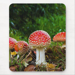 Fly agaric mouse pad