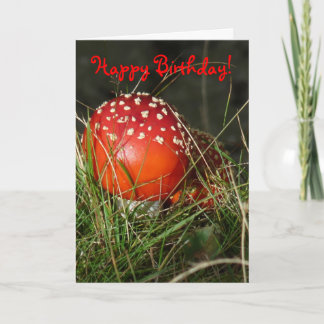 "Fly Agaric Mushroom" Birthday Card