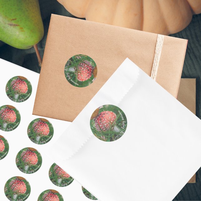 Fly agaric mushroom  classic round sticker (Creator Uploaded)