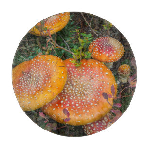 Fly agaric mushrooms at Mowich Lake Cutting Board