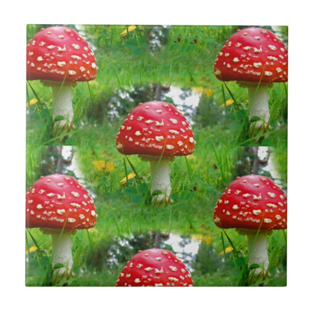 Fly Agaric Mushrooms Tile (Front)