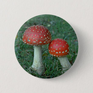 Fly agarics (Amanita muscaria) 6 Cm Round Badge