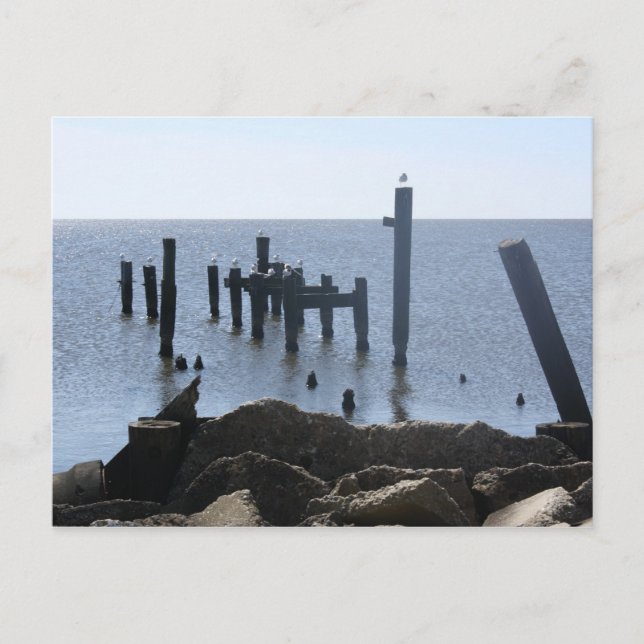 Fly Away Creole River Postcards (Front)