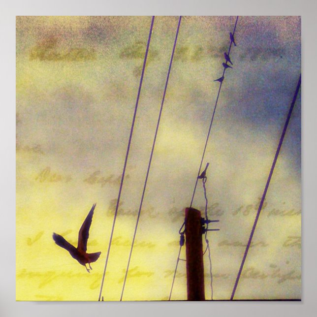 Fly Away Poster (Front)