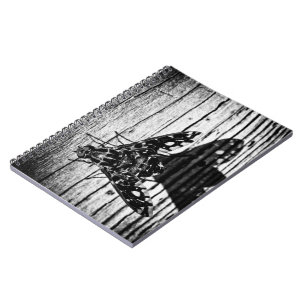 fly back notebook