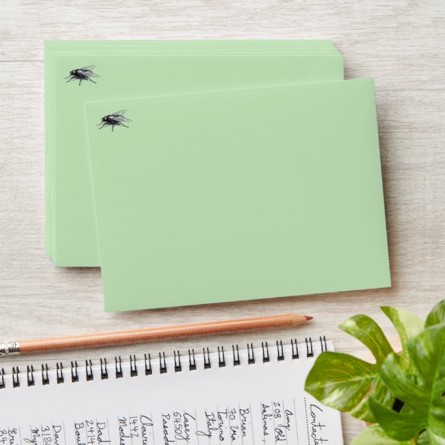 Fly Buddy green small envelopes front (Stacked)