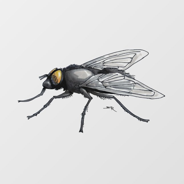 Fly Buddy see-thru window cling back stick (Sheet)