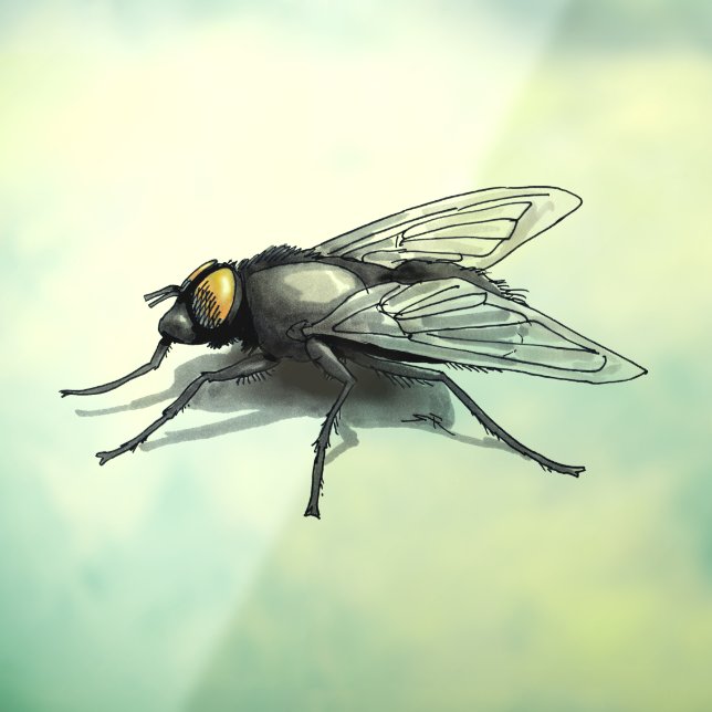 Fly Buddy small shadow window cling back stick (Sheet 3)