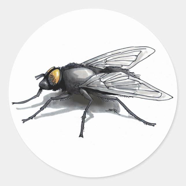 Fly Buddy white large round stickers (Front)