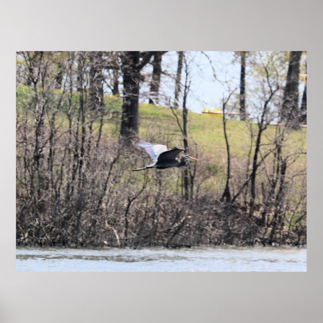 Fly by   poster (Front)