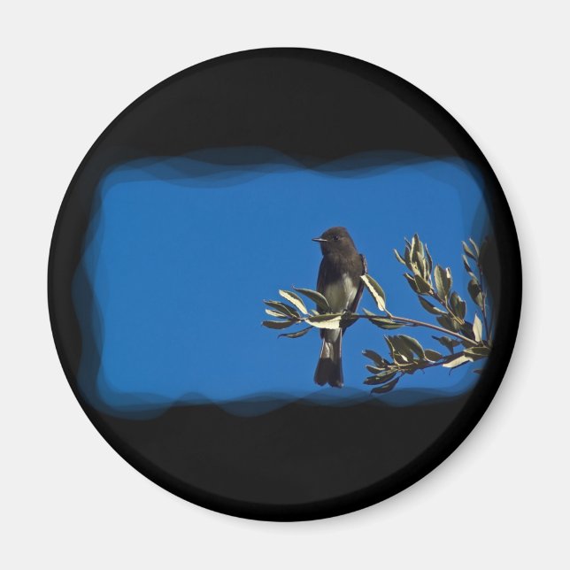 Fly Catcher Magnet (Front)