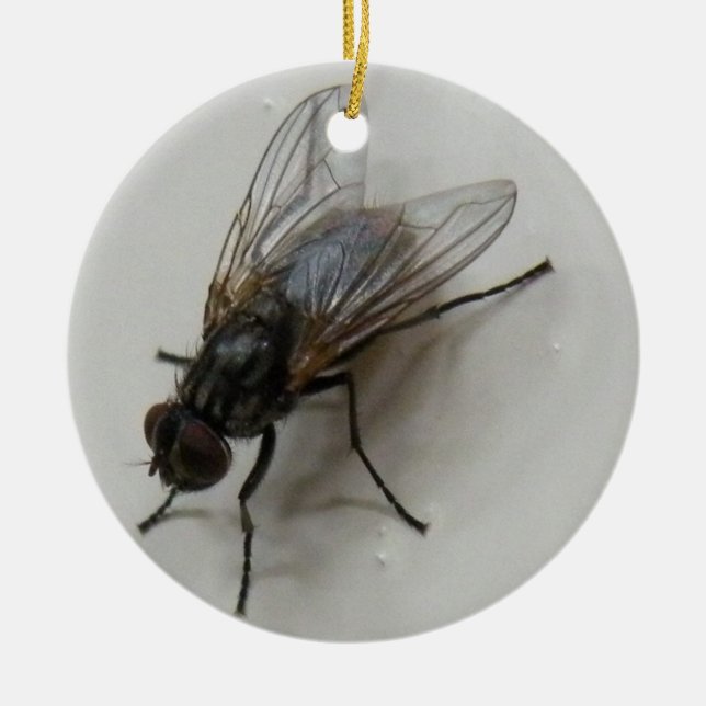Fly Ceramic Tree Decoration (Front)