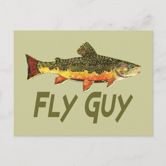 Fly Fisherman Postcard (Front)