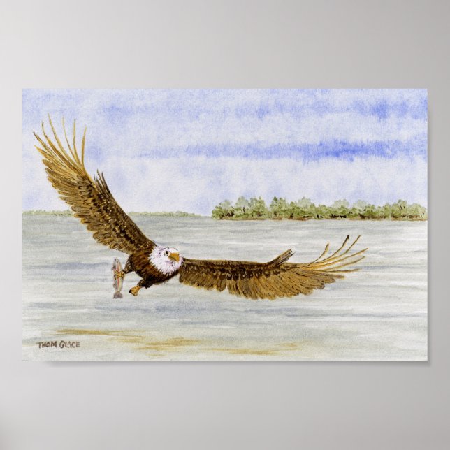 Fly Fishin'- Bald Eagle Poster (Front)