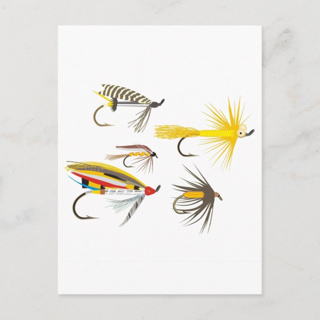 Fly Fishing Lures Postcard (Front)