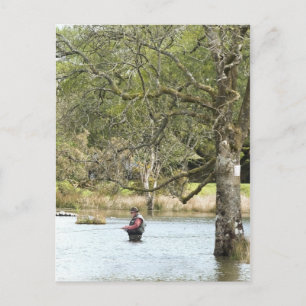 FLY FISHING POSTCARD