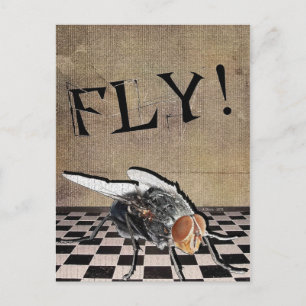 Fly! Fly! Fly! Postcard