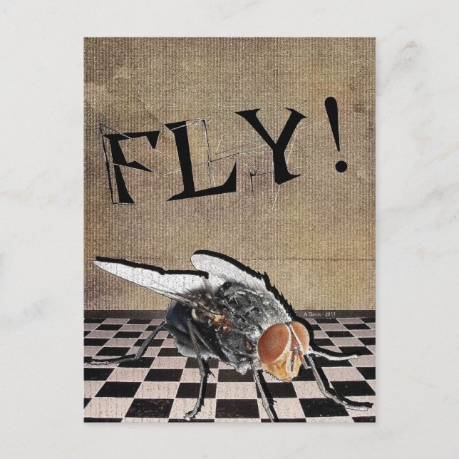 Fly! Fly! Fly! Postcard (Front)