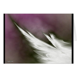 fly for peace!
