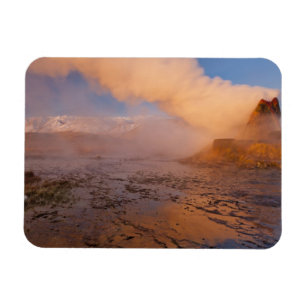 Fly Geyser in the Black Rock Desert Magnet