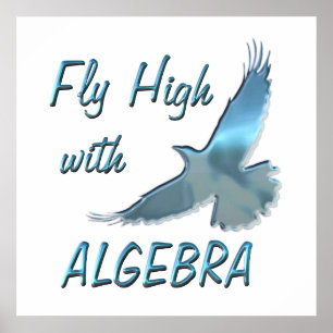 Fly High with Algebra Poster