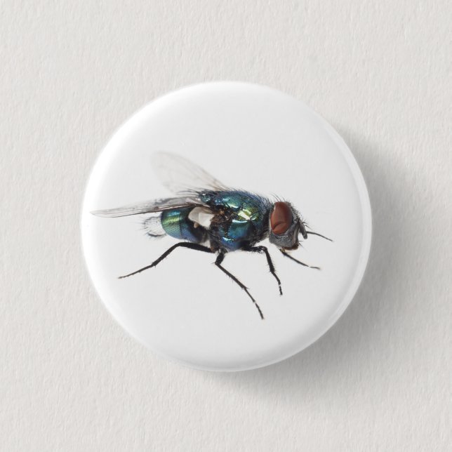 Fly insect 3 cm round badge (Front)
