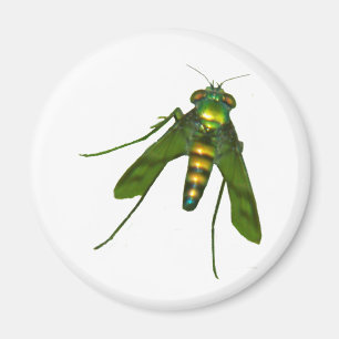 fly magnet