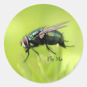 Fly Me Sticker