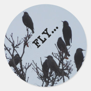 fly mini stickers