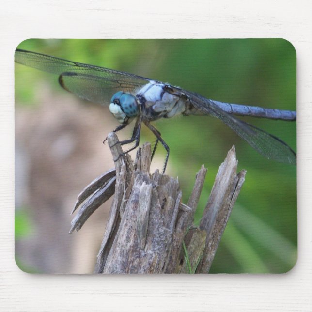 Fly Mouse Pad (Front)