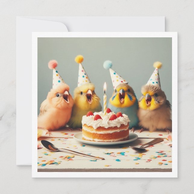 Fly on over! Parakeet birthday, bird birthday  Invitation (Front)