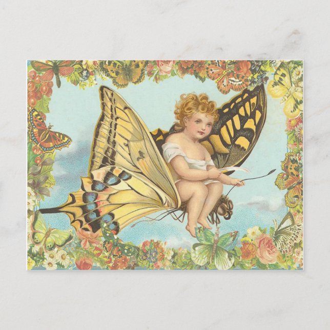 Fly Postcard (Front)