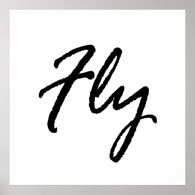 Fly Poster (Front)
