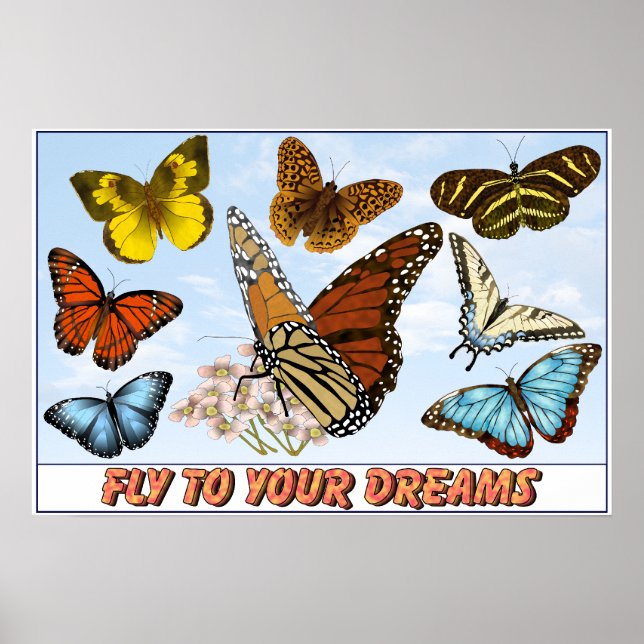 Fly To Your Dreams Poster (Front)