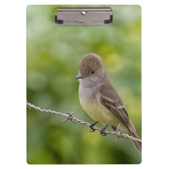 Flycatcher Clipboard (Front)