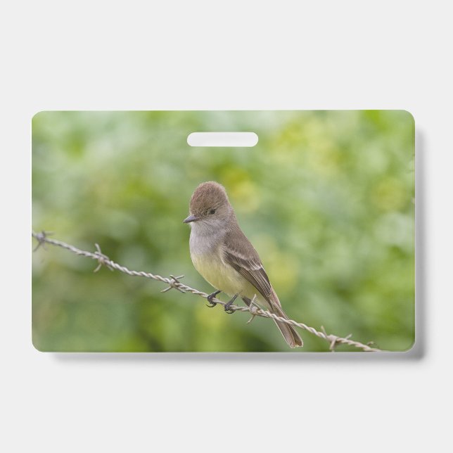 Flycatcher ID Badge (Front)