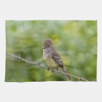 Flycatcher
