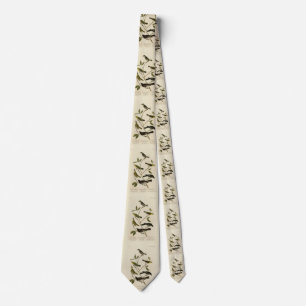 Flycatchers Warbler etc Audubon's Birds of America Tie