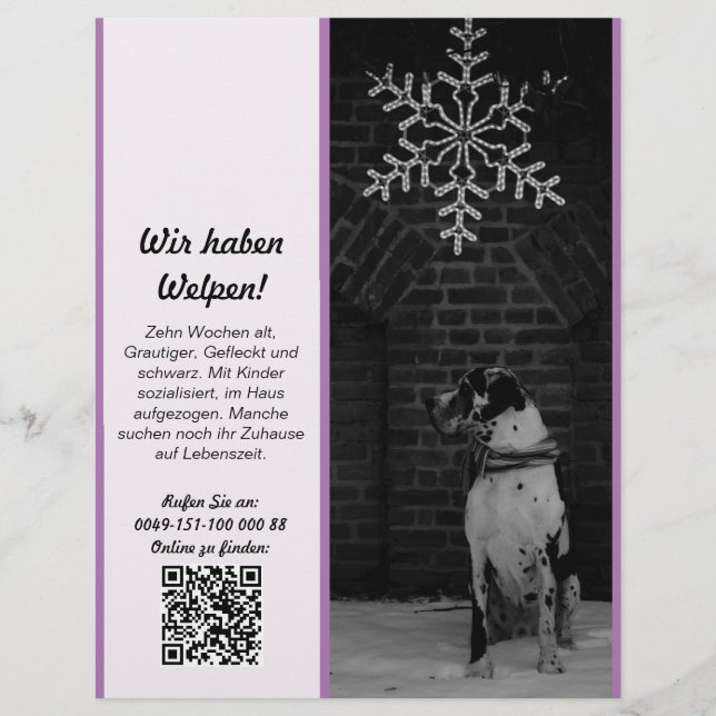 Flyer für Doggenzüchter – personalisierbar  (Front)