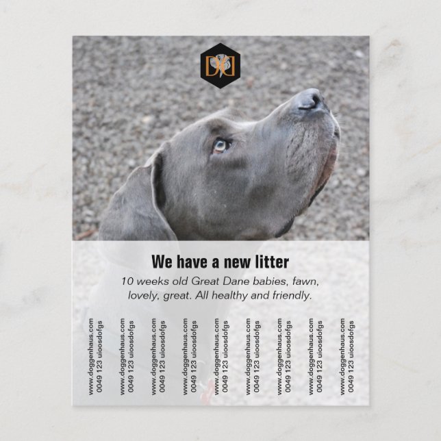 Flyer "Seller" (Front)