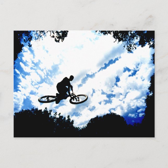 Flyin' High! Postcard (Front)